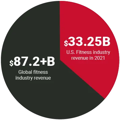 Fitness Revenue Pie Chart